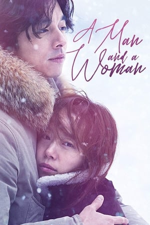 A Man and A Woman (2016) Hindi Dual Audio 400MB HD Poster Download - filmyfly