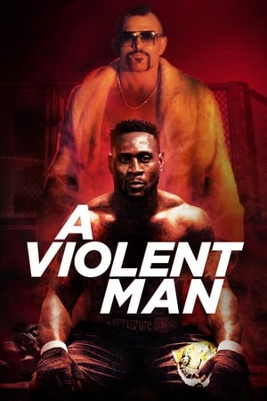 A Violent Man 2017 Hindi Dual Audio [960MB] HD Poster Download - filmyfly