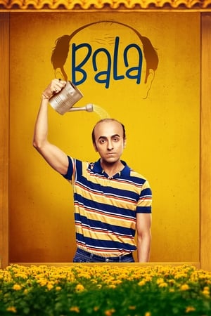 Bala 2019 Hindi Movie [1GB] HD Poster Download - filmyfly