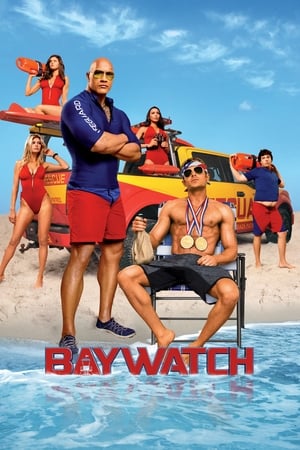 Baywatch 2017 Dual Audio Hindi ORG 300MB HD Poster Download - filmyfly