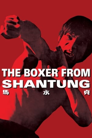Boxer from Shantung (1972) Hindi Dual Audio 400MB HD Poster Download - filmyfly