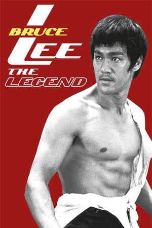 Bruce Lee the Legend 1984 Hindi Dual Audio HDTVRip 300MB
