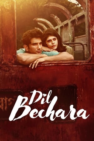 Dil Bechara 2020 Hindi Audio HD Poster Download - filmyfly