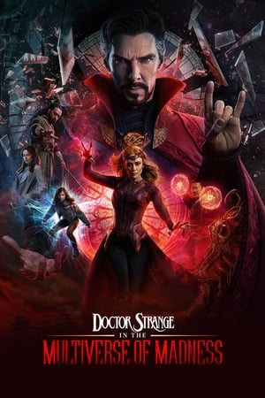 Doctor Strange in the Multiverse of Madness (2022) Hindi (ORG) Dual Audio HD Poster Download - filmyfly