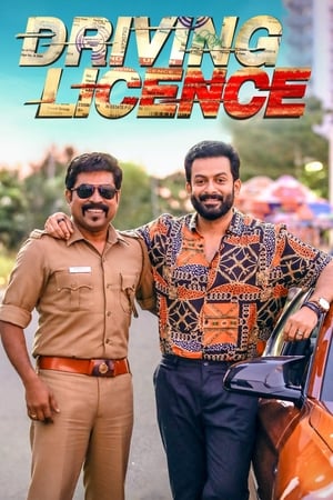 Driving Licence 2019 Hindi (HQ-Dub) – 480p