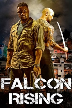 Falcon Rising (2014) Hindi Dual Audio 300MB HD Poster Download - filmyfly