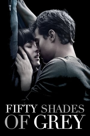 Fifty Shades of Grey 2015 Hindi Dual Audio 400MB HD Poster Download - filmyfly