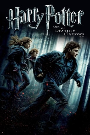 Harry Potter and the Deathly Hallows 2010 – Part 1 Hindi Dubbed [1.0GB] Download HD Poster Download - filmyfly