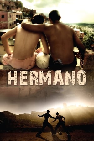 Hermano 2010 Hindi Dual Audio [1.2GB]