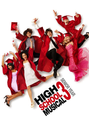High School Musical 3 (2008) Hindi Dual Audio [950MB] HD Poster Download - filmyfly