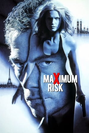 Maximum Risk (1996) Hindi Dual Audio 330MB HD Poster Download - filmyfly