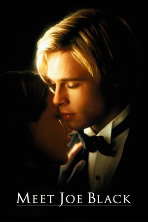 Meet Joe Black 1998 Dual Audio Hindi 550MB HD Poster Download - filmyfly
