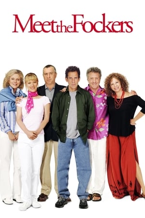 Meet the Fockers 2004 Hindi Dual Audio 350MB HD Poster Download - filmyfly