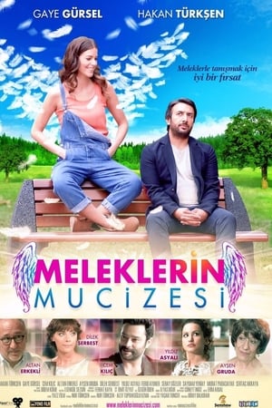 Meleklerin mucizesi (2014) Hindi Dual Audio 280MB HD Poster Download - filmyfly