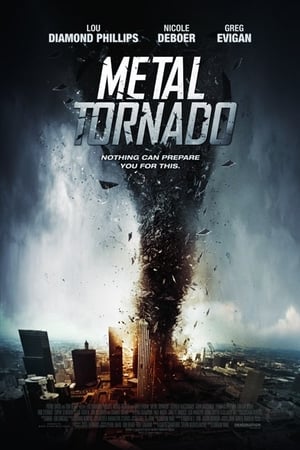 Metal Tornado 2011 Hindi Dual Audio [1GB] HD Poster Download - filmyfly