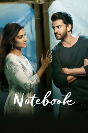 Notebook (2019) Hindi Movie [1.4GB] HD Poster Download - filmyfly