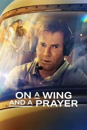 On a Wing and a Prayer 2023 Hindi Dual Audio – HD Poster Download - filmyfly