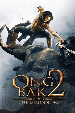 Ong Bak 2 (2008) Hindi Dual Audio [800MB] HD Poster Download - filmyfly