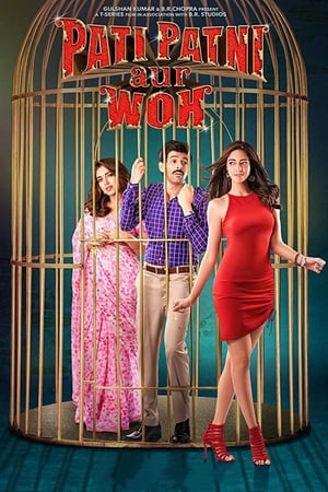 Pati Patni Aur Woh 2019 Hindi Movie [1.2GB] HD Poster Download - filmyfly