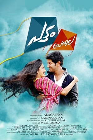 Pattam Pole (2013) (Hindi – Malayalam) Dual Audio [1.2GB] HD Poster Download - filmyfly