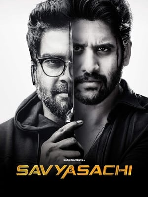 Savyasachi (2018) Hindi Dual Audio [1.2GB] HD Poster Download - filmyfly
