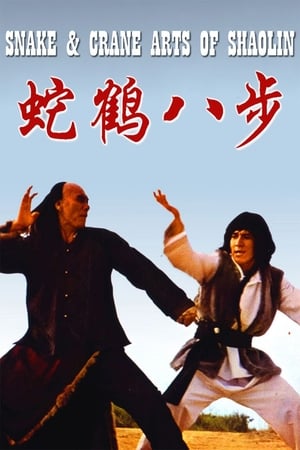 Snake and Crane Arts of Shaolin 1978 Hindi Dual Audio [980MB] HD Poster Download - filmyfly