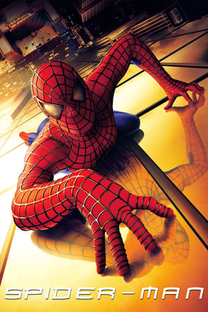 Spider Man (2002) Hindi Dual Audio [800MB] Download HD Poster Download - filmyfly
