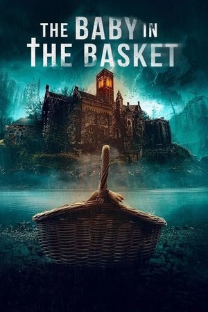 The Baby in the Basket (2025) Hindi (MULTI AUDIO) – –