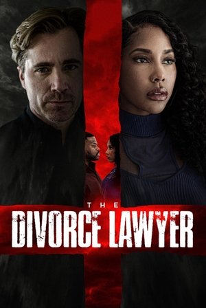 The Divorce Lawyer (2025) Hindi (MULTI AUDIO) – – HD Poster Download - filmyfly