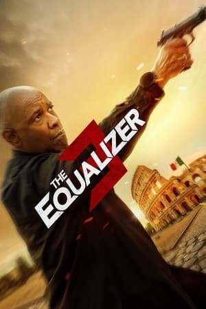 The Equalizer 3 2023 Hindi (ORG) Dual Audio – HD Poster Download - filmyfly
