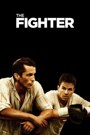 The Fighter (2010) Hindi Dual Audio 360MB HD Poster Download - filmyfly