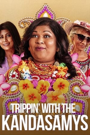 Trippin with the Kandasamys 2021 Hindi Dual Audio [850MB] HD Poster Download - filmyfly